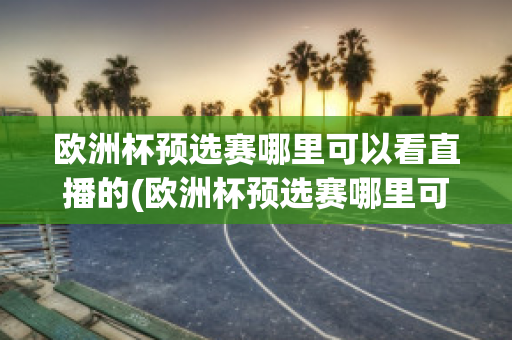 欧洲杯预选赛哪里可以看直播的(欧洲杯预选赛哪里可以看直播的啊)