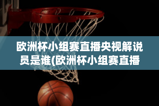 欧洲杯小组赛直播央视解说员是谁(欧洲杯小组赛直播央视解说员是谁呀)