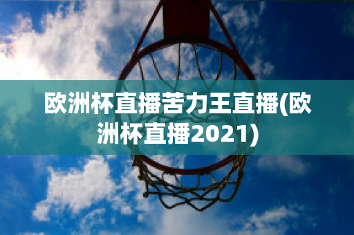 欧洲杯直播苦力王直播(欧洲杯直播2021)