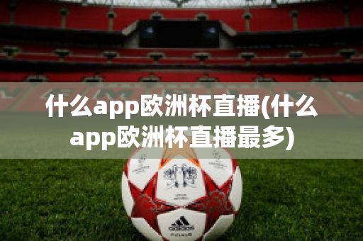 什么app欧洲杯直播(什么app欧洲杯直播最多)