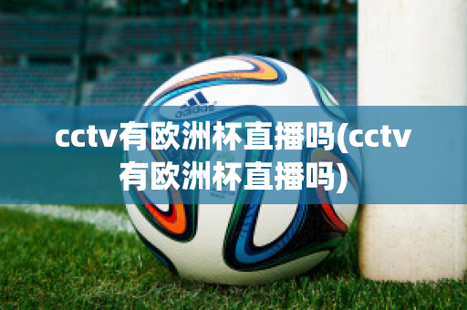 cctv有欧洲杯直播吗(cctv有欧洲杯直播吗)