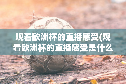 观看欧洲杯的直播感受(观看欧洲杯的直播感受是什么)