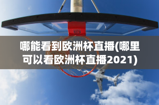 哪能看到欧洲杯直播(哪里可以看欧洲杯直播2021)