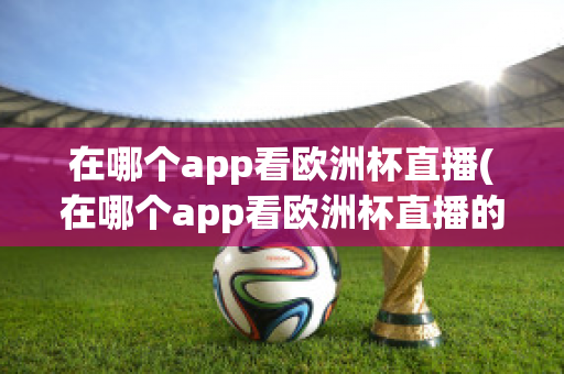 在哪个app看欧洲杯直播(在哪个app看欧洲杯直播的)