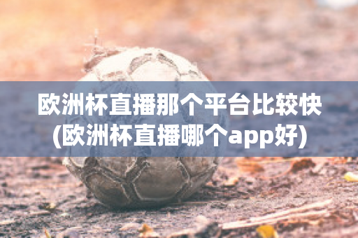 欧洲杯直播那个平台比较快(欧洲杯直播哪个app好)