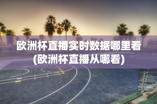 欧洲杯直播实时数据哪里看(欧洲杯直播从哪看)