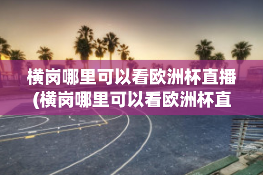 横岗哪里可以看欧洲杯直播(横岗哪里可以看欧洲杯直播啊)