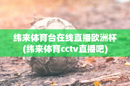 纬来体育台在线直播欧洲杯(纬来体育cctv直播吧)