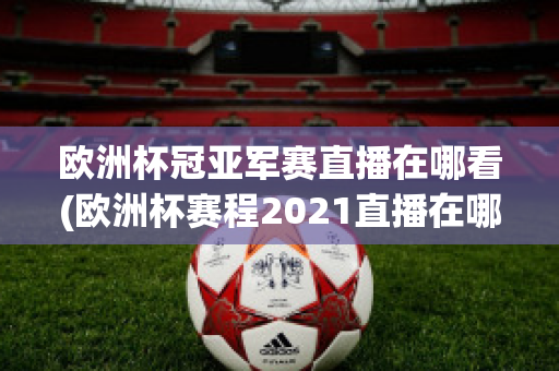 欧洲杯冠亚军赛直播在哪看(欧洲杯赛程2021直播在哪里看)