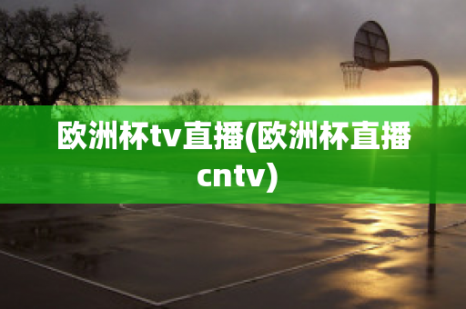 欧洲杯tv直播(欧洲杯直播 cntv)