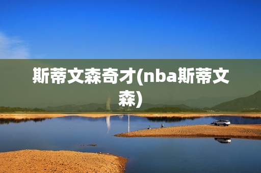 斯蒂文森奇才(nba斯蒂文森)