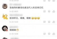 欧洲杯线上直播刘建宏:欧洲杯直播讲解