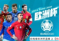 欧洲杯直播euro:欧洲杯直播比赛在线观看