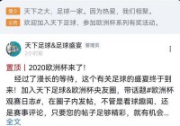 欧洲杯直播软件有哪些比赛:欧洲杯直播软件有哪些比赛可以用