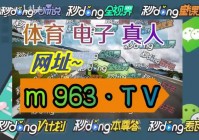 欧洲杯外围赛直播视频下载:欧洲杯外围赛直播视频下载安装