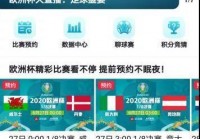 国外看欧洲杯直播的软件:国外看欧洲杯直播的软件叫什么