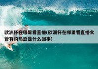 欧洲杯看直播软件叫什么:欧洲杯看直播软件叫什么名字