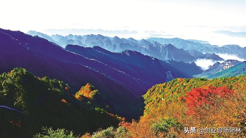 小爱同学欧洲杯直播:小爱同学欧洲杯直播在哪看