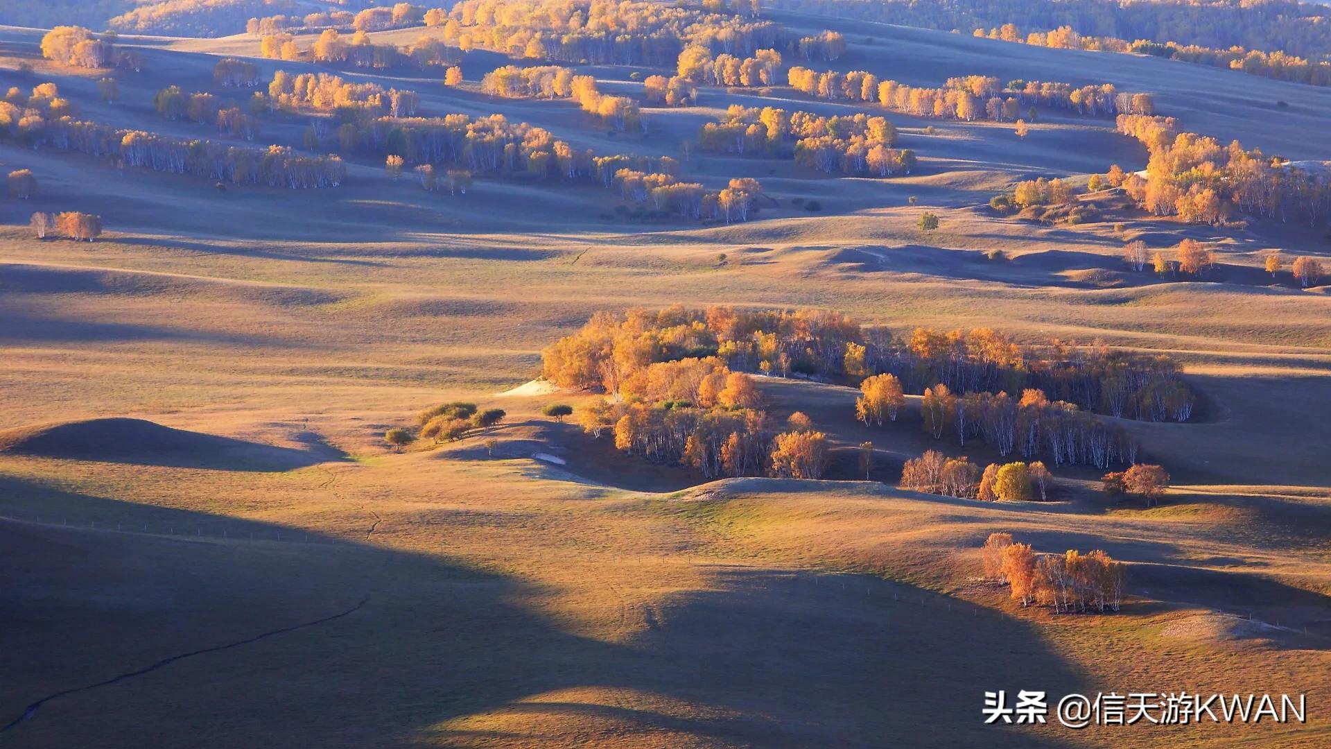 锡盟欧洲杯直播:鸾蝶的意思