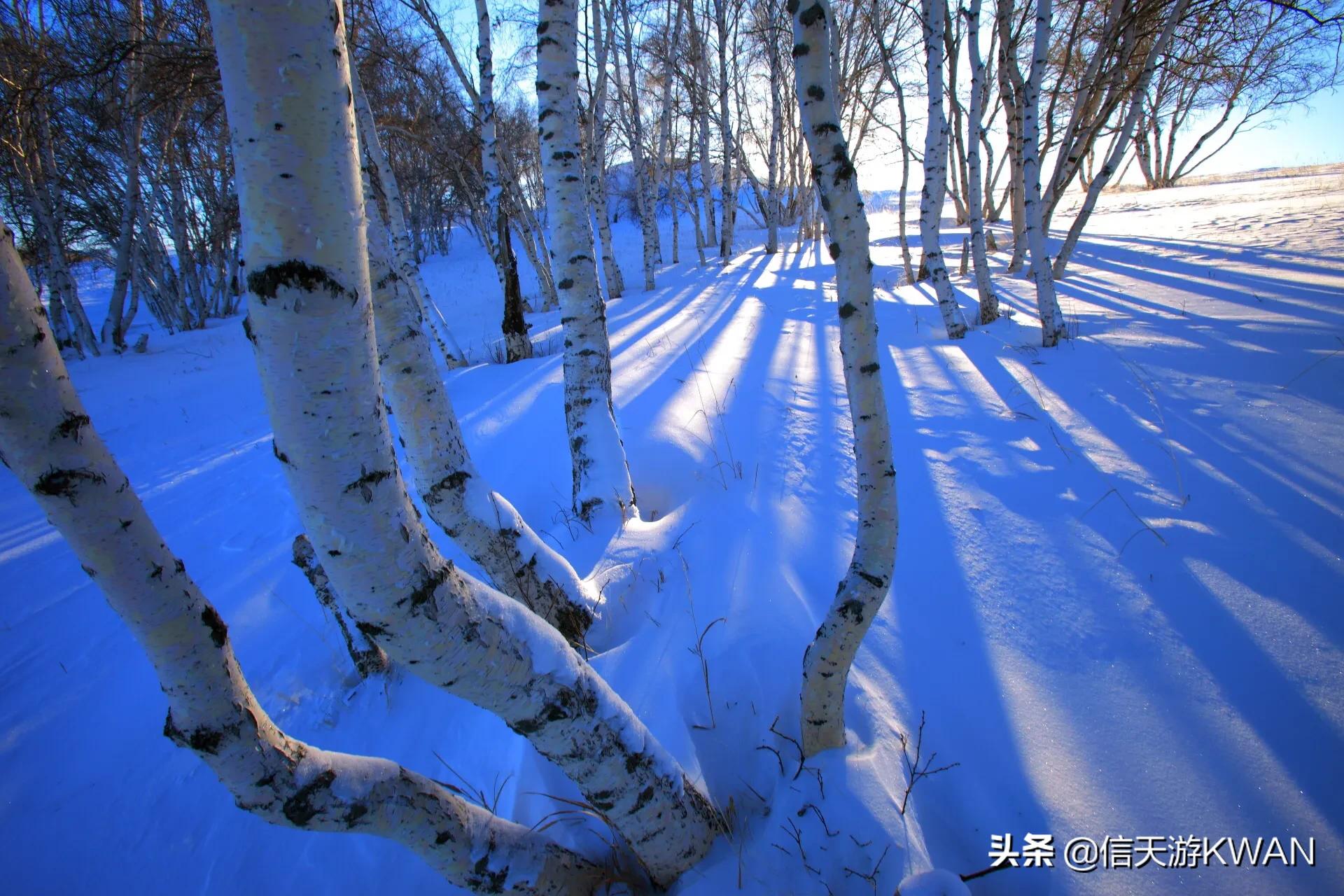 锡盟欧洲杯直播:鸾蝶的意思