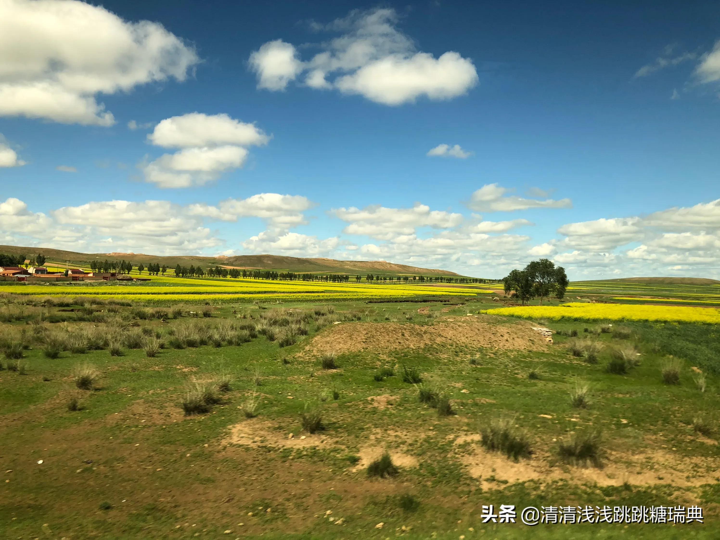 阳泉哪里可以看欧洲杯直播:阳泉哪里可以看欧洲杯直播的