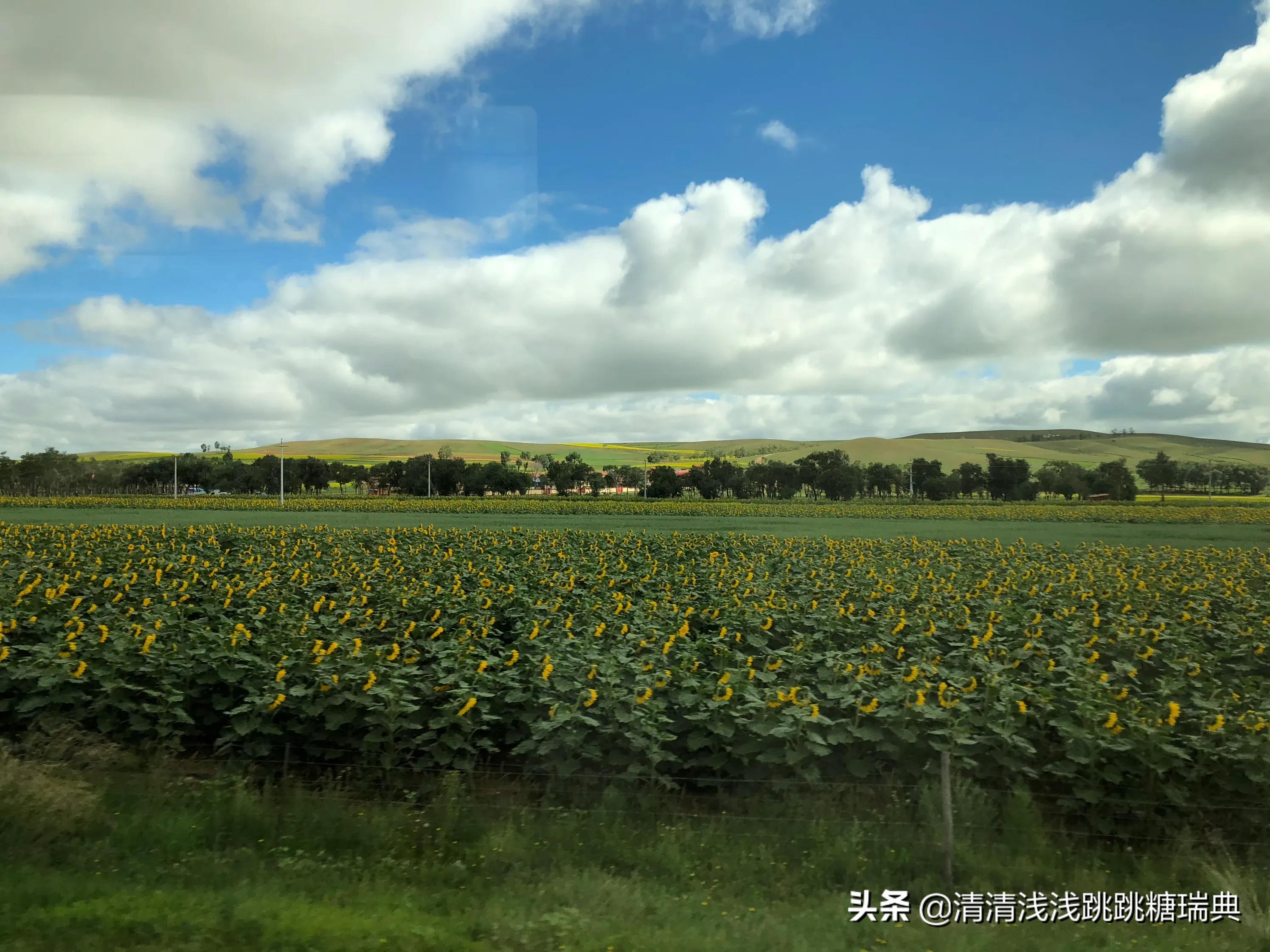 阳泉哪里可以看欧洲杯直播:阳泉哪里可以看欧洲杯直播的