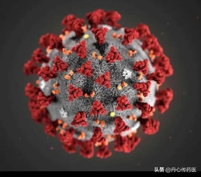 安宁看欧洲杯最新消息直播:安宁看欧洲杯最新消息直播在哪里看