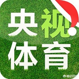 欧洲杯最新战报央视版直播:欧洲杯最新战报央视版直播视频