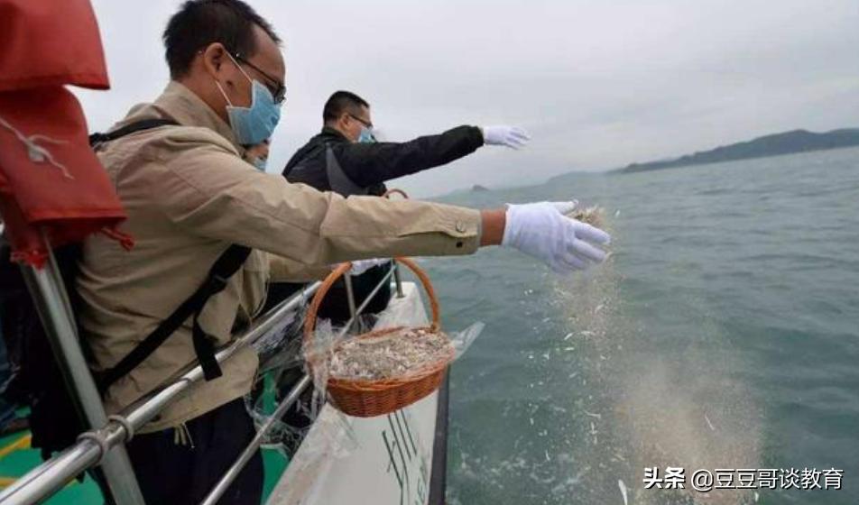 欧洲杯飞鸟直播在线看:欧洲杯飞鸟直播在线看