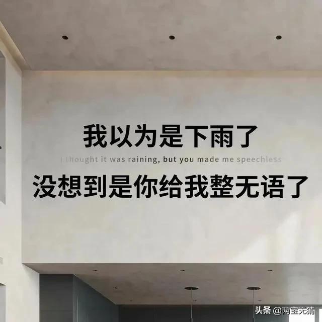 辣条解说欧洲杯比赛直播:辣条解说欧洲杯比赛直播在哪看