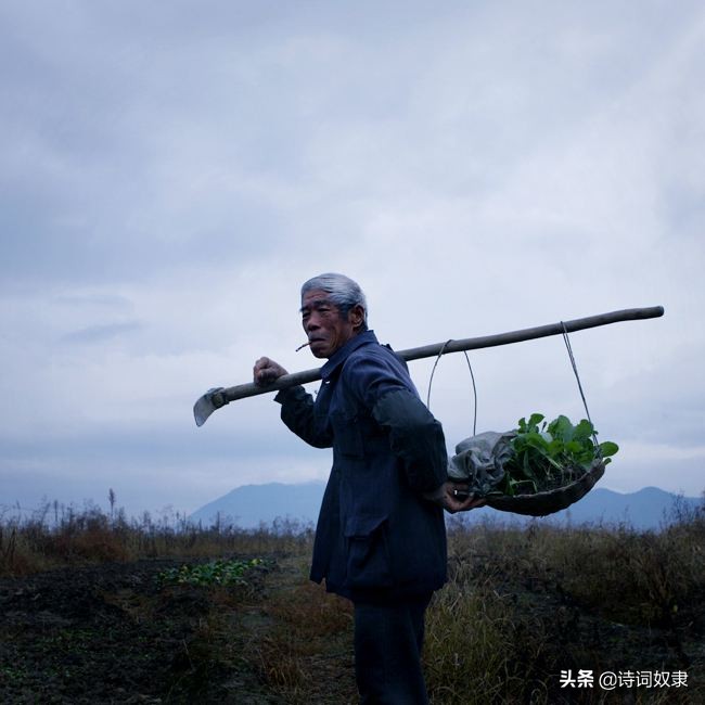 株洲哪里可以看欧洲杯直播:株洲哪里可以看欧洲杯直播的