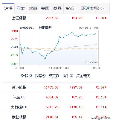 欧洲杯狗的反应视频直播:欧洲杯宠物