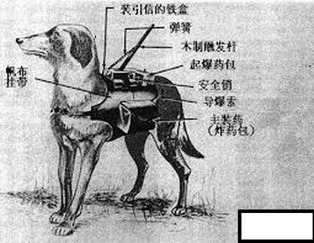 衡阳欧洲杯直播:衡阳欧洲杯直播平台