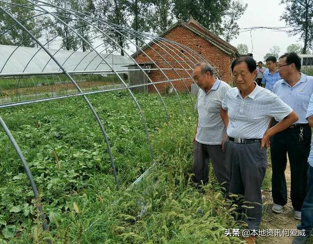 直播欧洲杯德国滴管:欧洲杯直播:德国vs