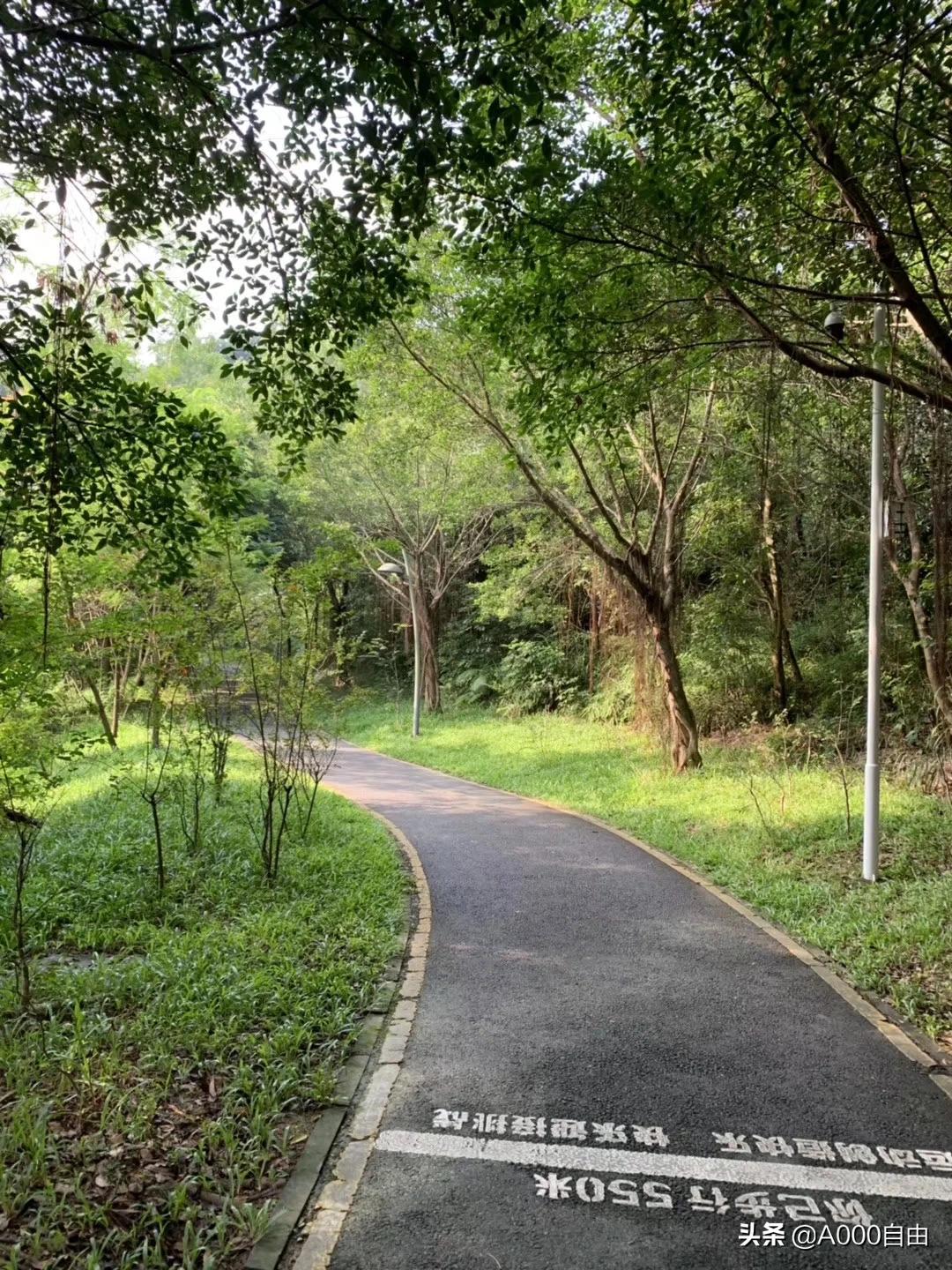 深圳如何看欧洲杯直播赛:深圳看欧洲杯的地方