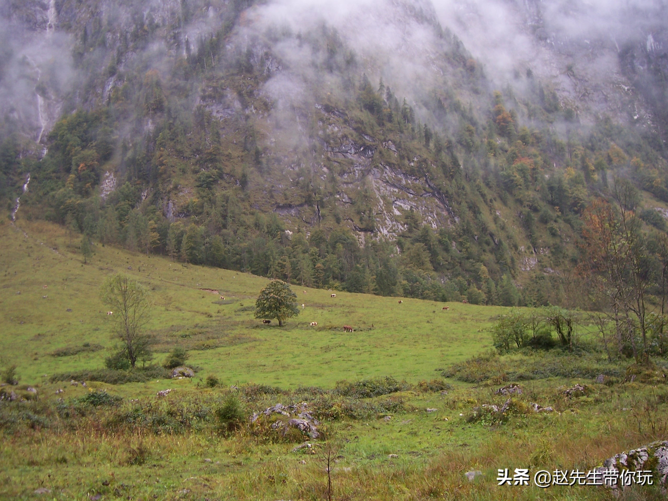 秀山哪里可以看欧洲杯直播:秀山哪里可以看欧洲杯直播的