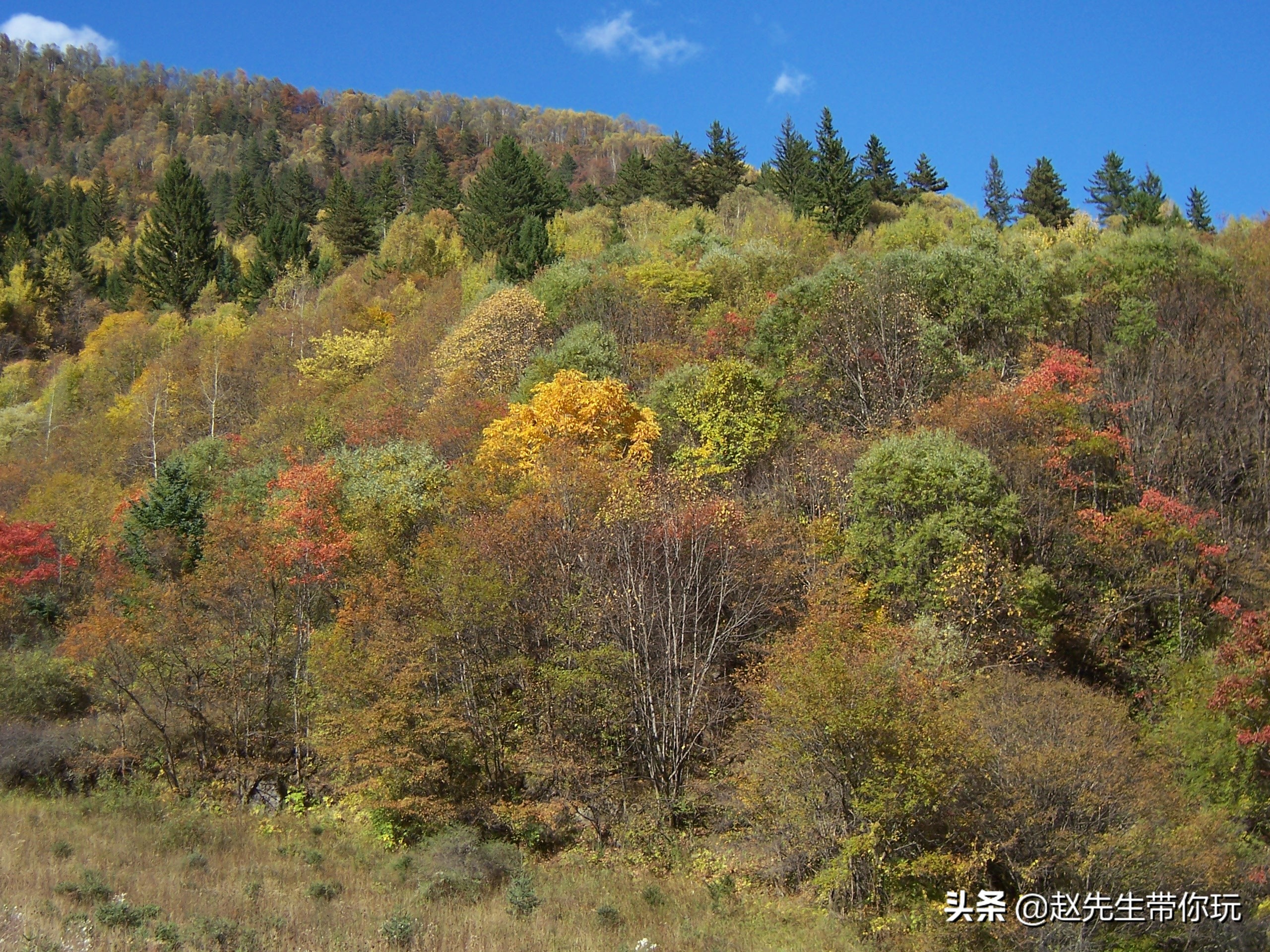 秀山哪里可以看欧洲杯直播:秀山哪里可以看欧洲杯直播的