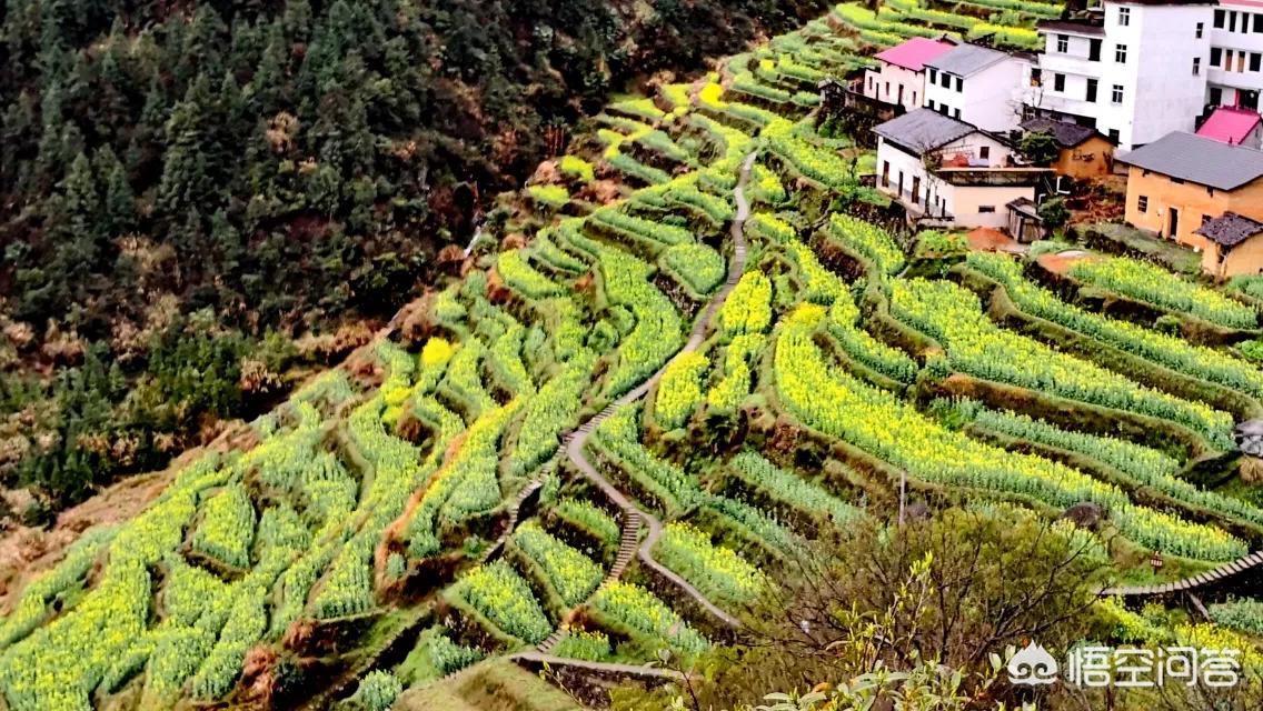 贵州欧洲杯哪里看直播的:贵州欧洲杯哪里看直播的啊