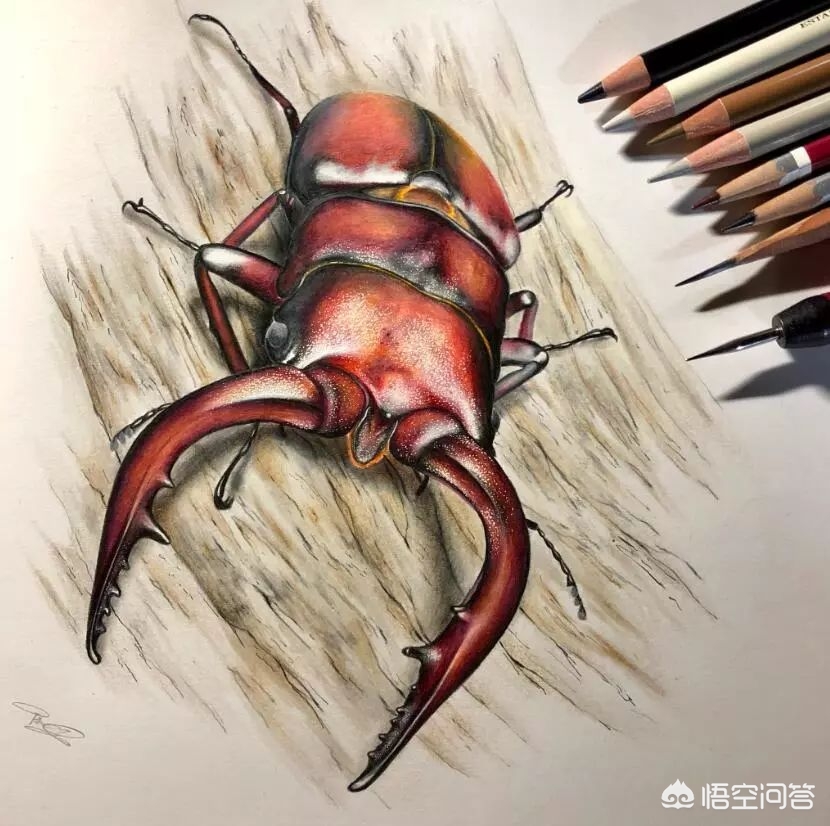 欧洲杯直播运营插画设计:欧洲杯直播运营插画设计方案