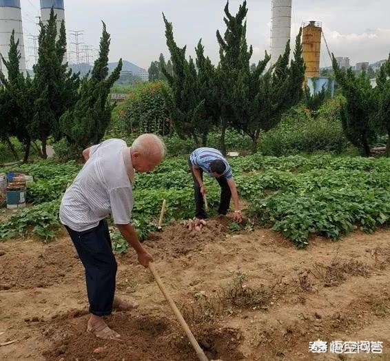 长乐哪里看欧洲杯直播:长乐哪里看欧洲杯直播的