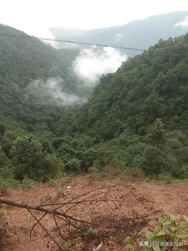 天台视频欧洲杯直播在线观看:天台视频欧洲杯直播在线观看免费