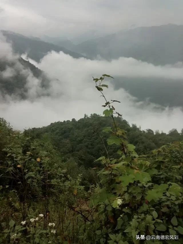 天台视频欧洲杯直播在线观看:天台视频欧洲杯直播在线观看免费