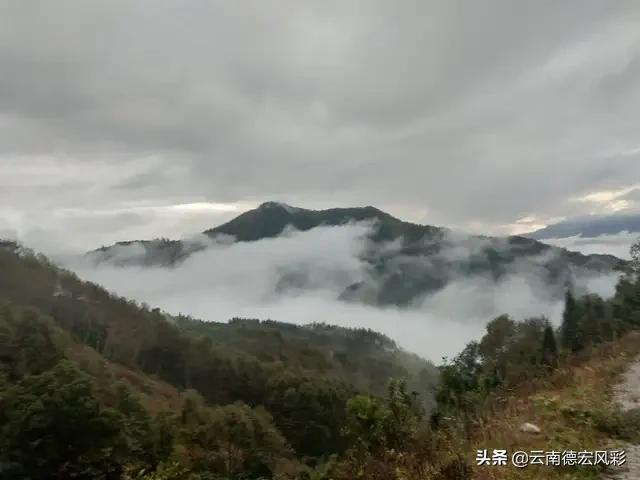 天台视频欧洲杯直播在线观看:天台视频欧洲杯直播在线观看免费