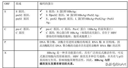 欧洲杯直播kb:欧洲杯直播克罗地亚