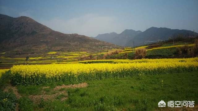 欧洲杯直播网红地:欧洲杯直播网红地点在哪