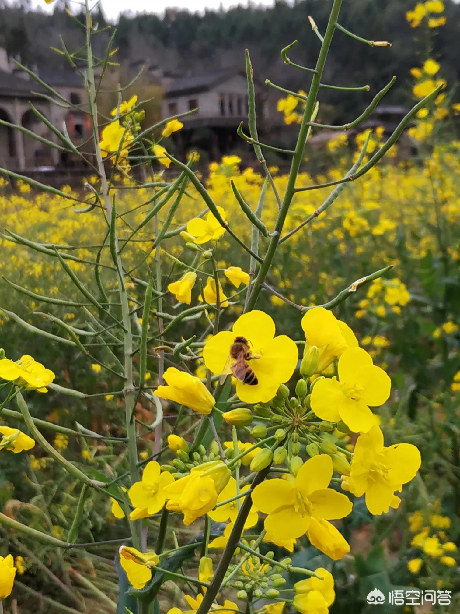 欧洲杯直播网红地:欧洲杯直播网红地点在哪