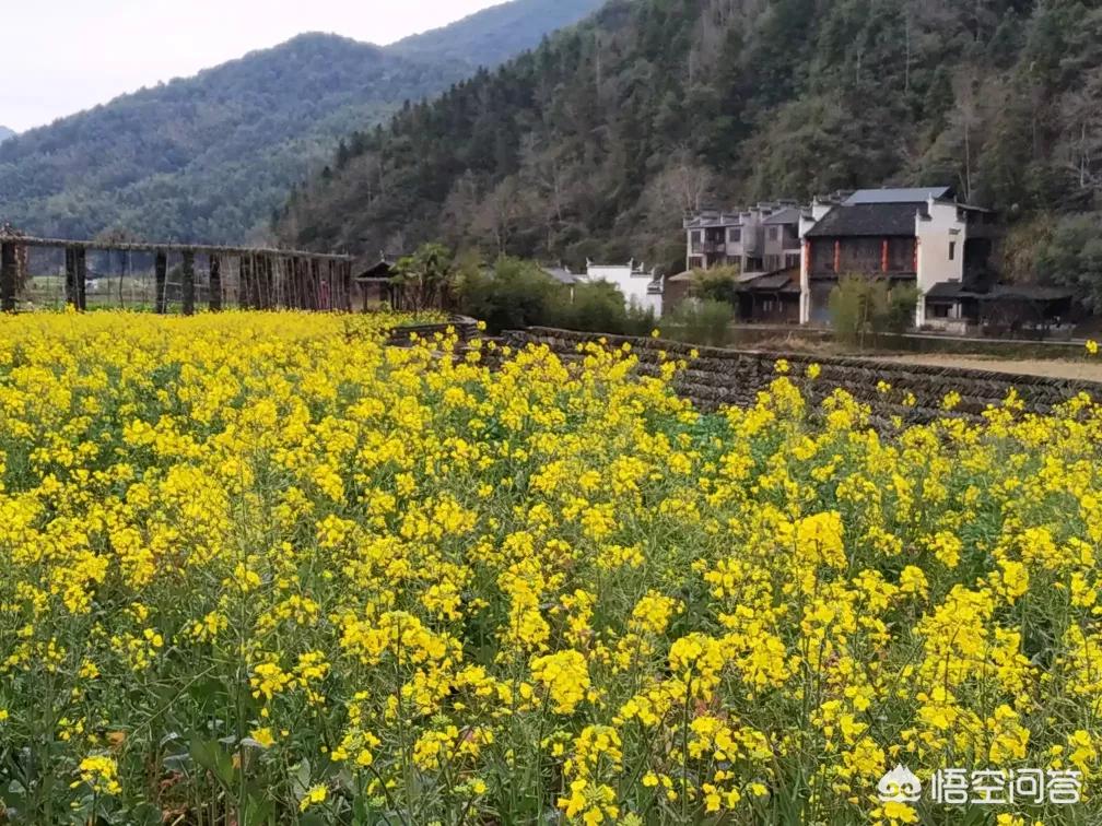 欧洲杯直播网红地:欧洲杯直播网红地点在哪