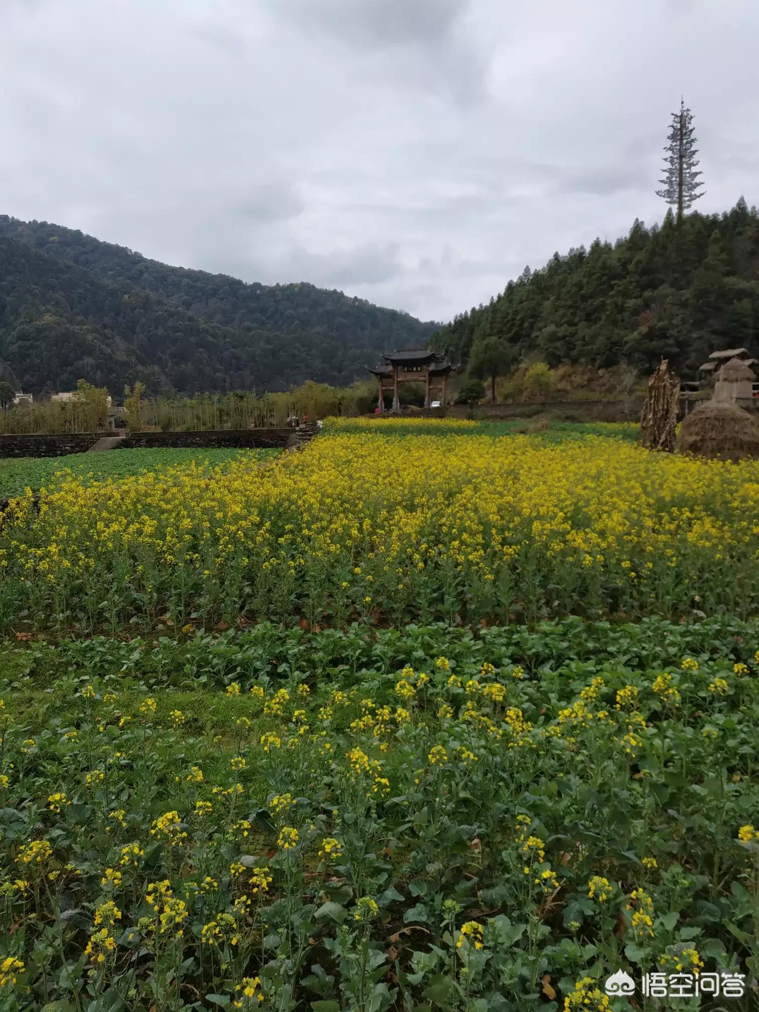 欧洲杯直播网红地:欧洲杯直播网红地点在哪