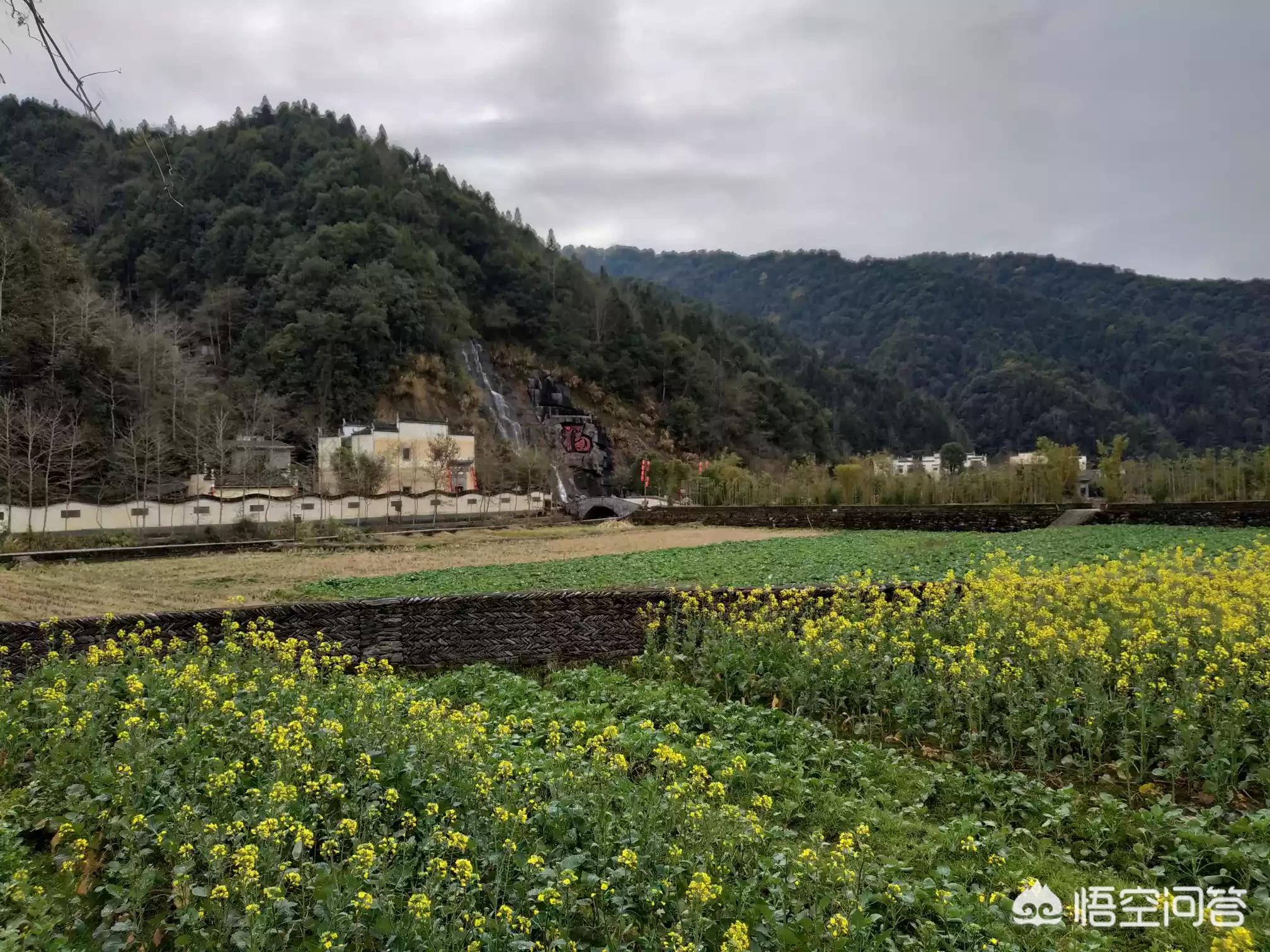 欧洲杯直播网红地:欧洲杯直播网红地点在哪