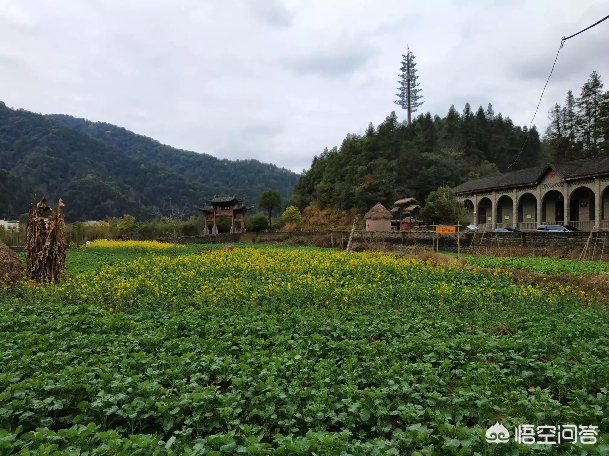 欧洲杯直播网红地:欧洲杯直播网红地点在哪